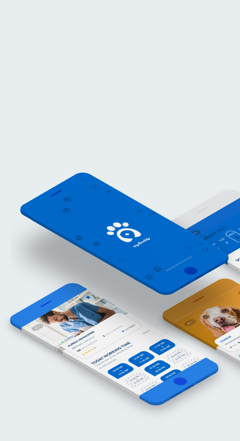 MyBuddy </br> application