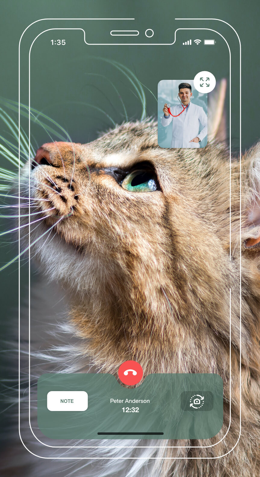 Mybuddy Partner <br> veterinarians Application